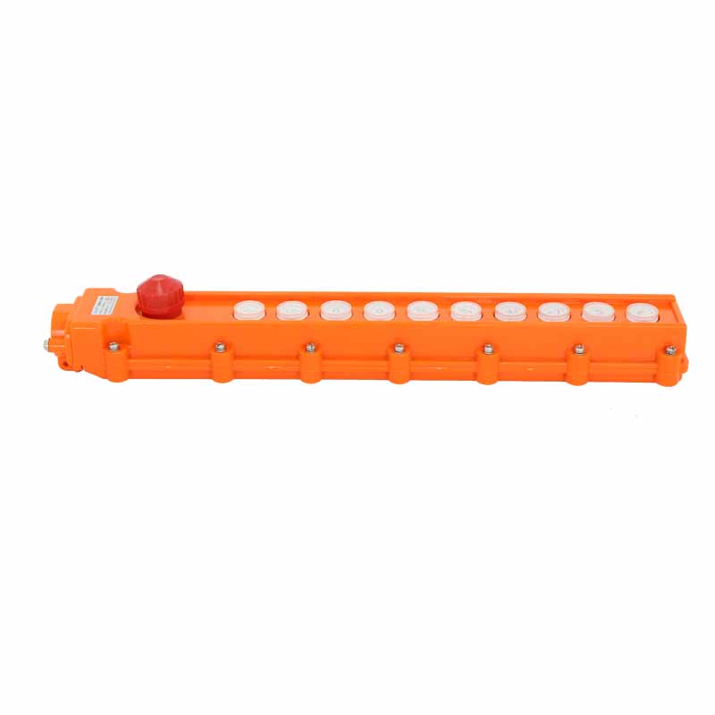 TNHA1-65H Waterproof Hoist Crane Switch Button Remote Control Switch 