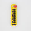 TNHA1-A211 Factory Hot Sales Hoist Wireless Remote Control