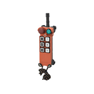 TNHA1-F21-E1 Crane Radio Remote Control