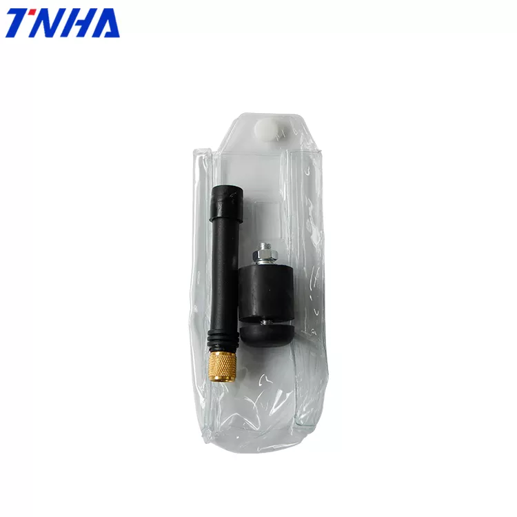 TNHA1-F21-2S Waterproof Radio Industrial Wireless Electric Hoist Wireless Remote Control
