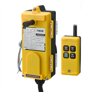 TNHA1-F21-X2S Yellow Crane Radio Remote Control