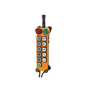 TNHA1 F24-10S Single Speed Crane Radio Remote Control Industrial Wireless Remote 
